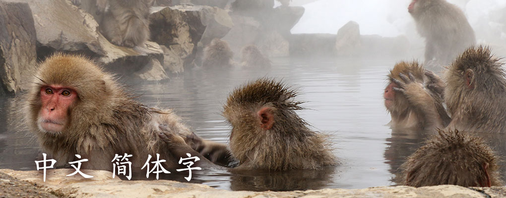 お料理　～山の彩り、山の香り、山の味わい～