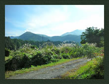 ヤギのあかとしろ