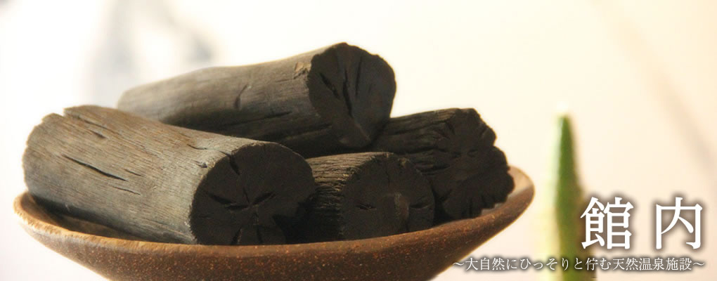館内　～自然に囲まれてひっそりと佇む天然温泉