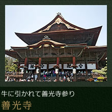 牛に引かれて善光寺参り　善光寺